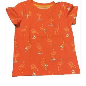 NWT 🦩🦩🦩flamingo shirt sleeve T-shirt size 18 months